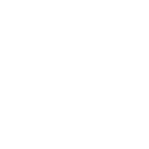 Play Icon